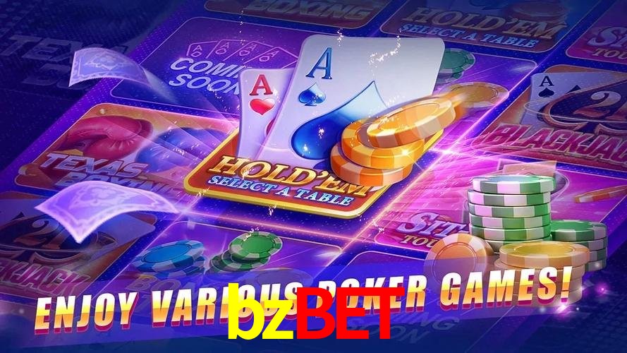 Interface Premium bzbet